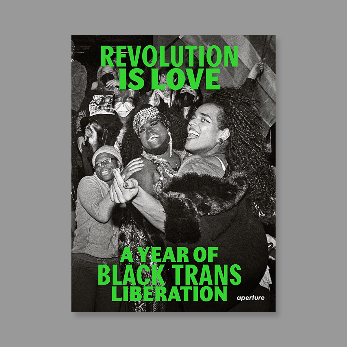 Front cover of Revolution Is Love: A Year of Black Trans Liberation