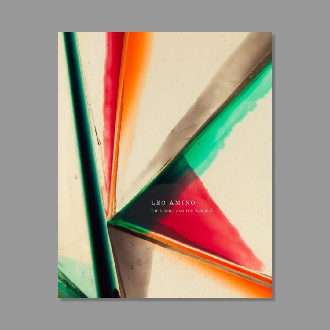 Front cover of Leo Amino: The Visible and the Invisible