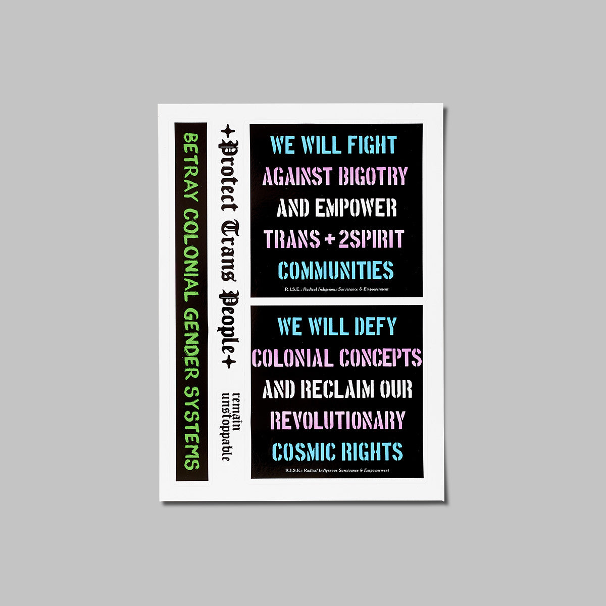 RISE Trans Solidarity Sticker Sheet by artist Demian DinéYazhi'