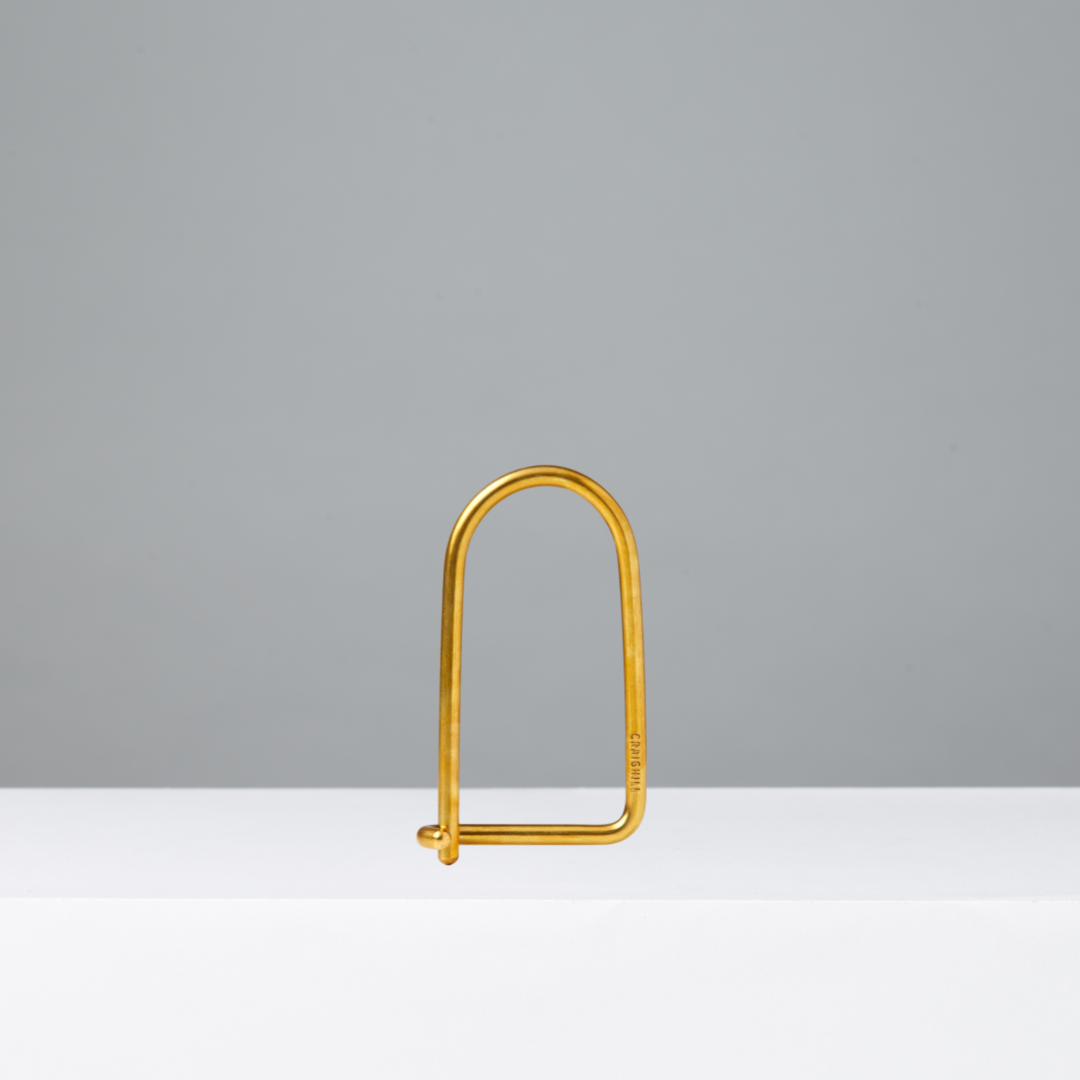 Gold U-shaped keyring on a gray background