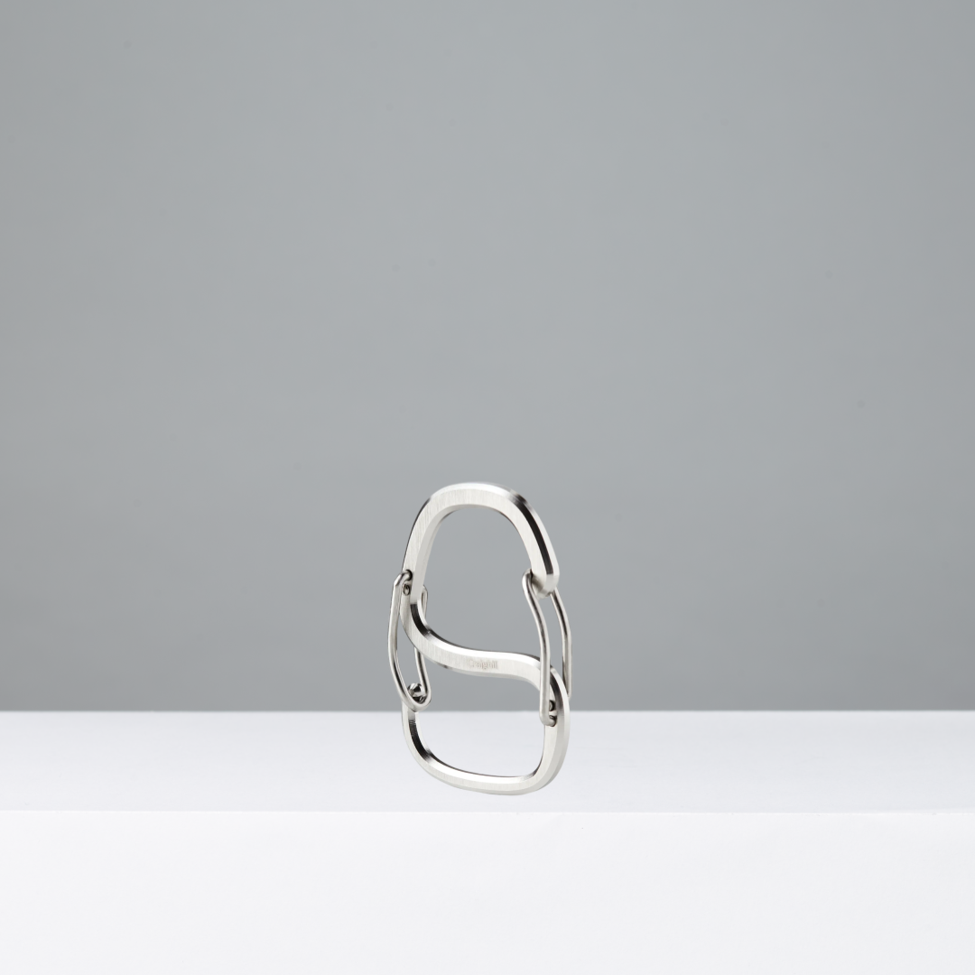 Silver carabiner on a white background