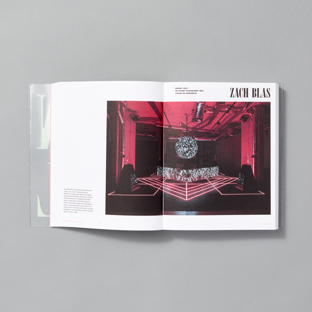 Inner spread of Whitney Biennial 2026