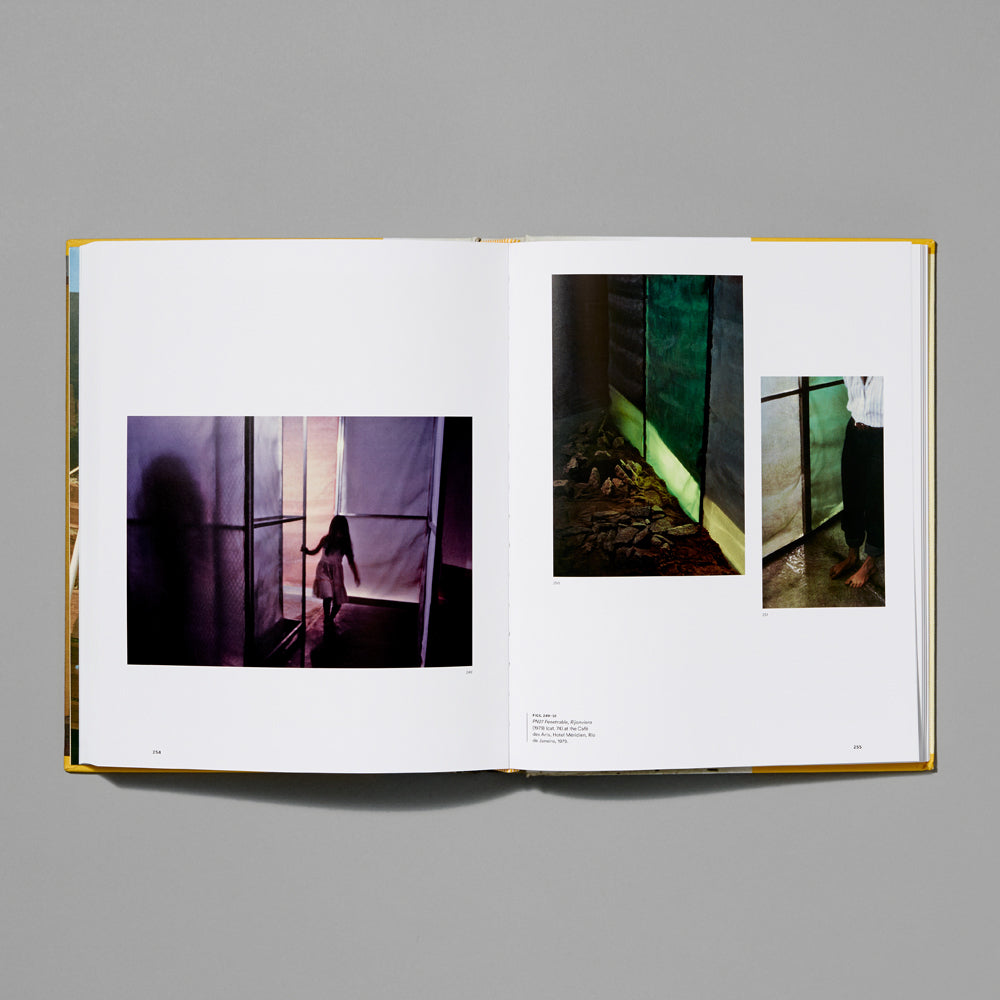 Inside spread of the Hélio Oiticica: To Organize Delirium exhibition catalogue