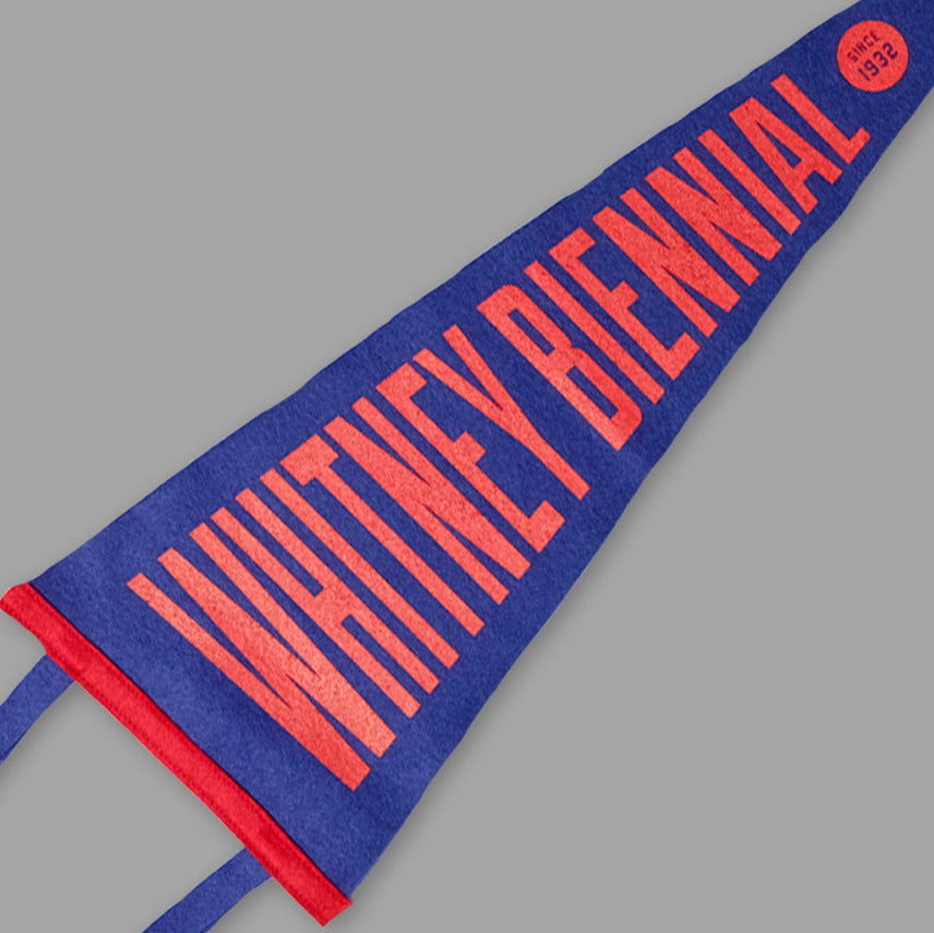 Blue and red pennant with 'Whitney Biennial' text on a gray background