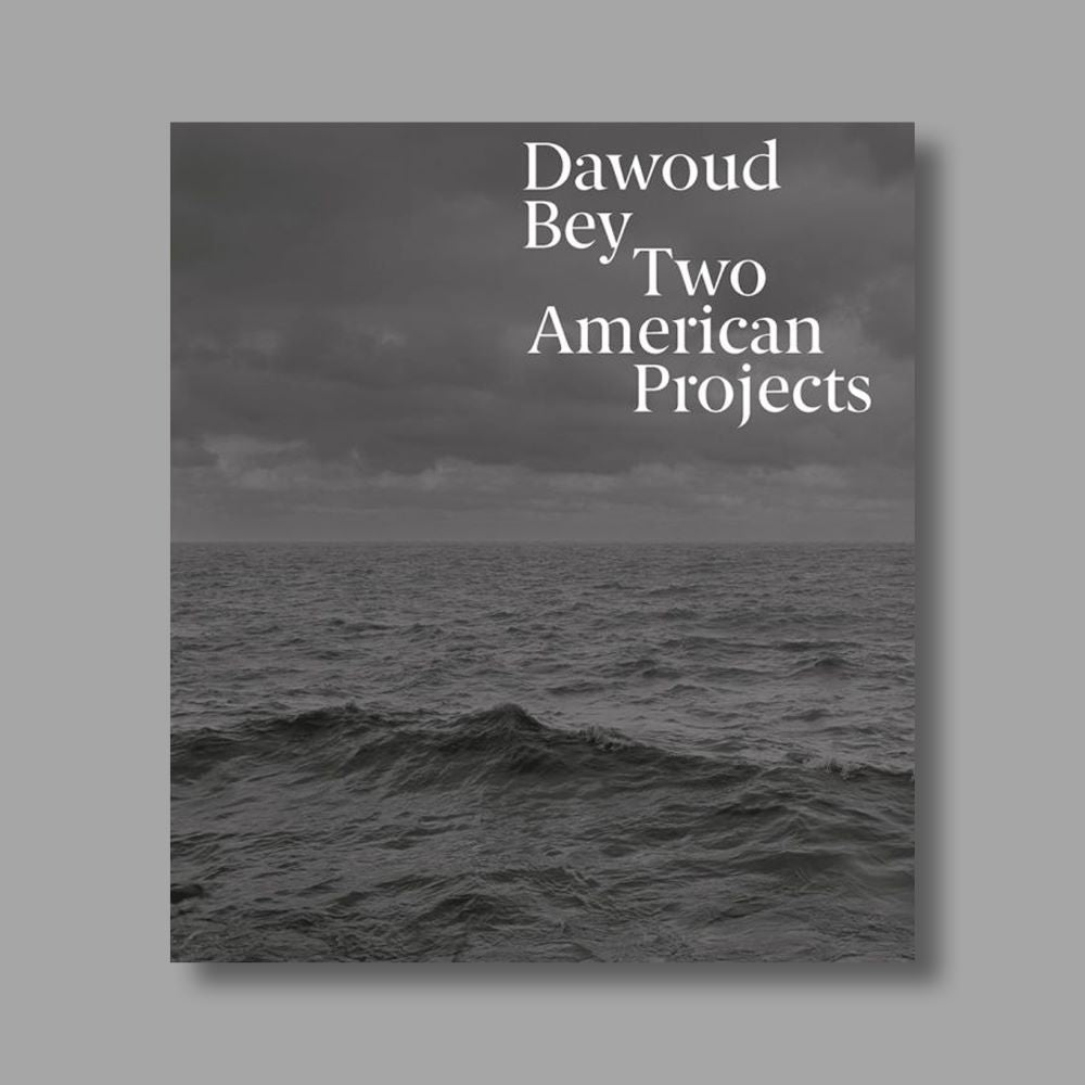 Dawoud Bey: Two American Projects