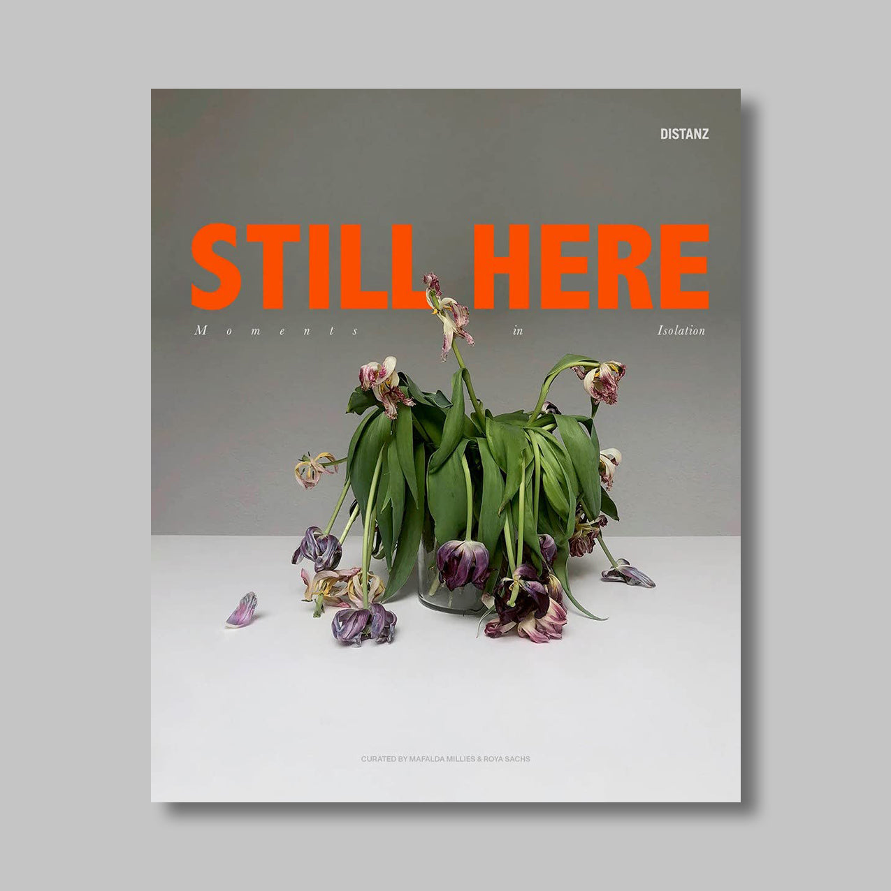 Front cover of Still Here: Moments in Isolation