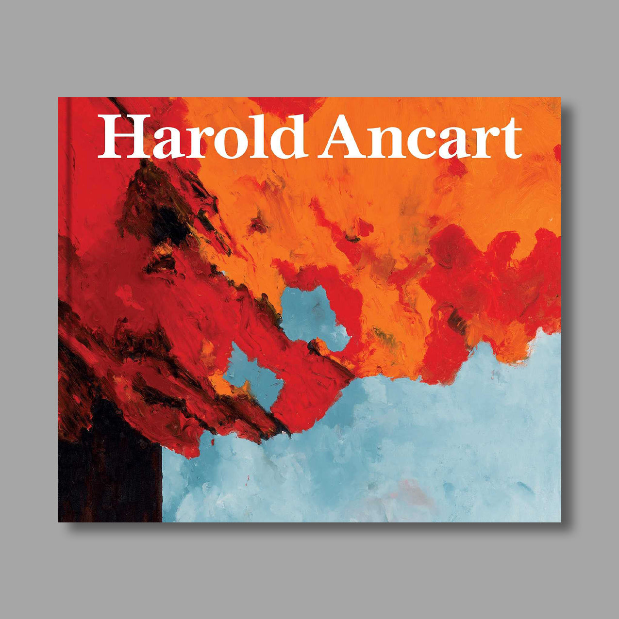 Front cover of Harold Ancart: Traveling Light