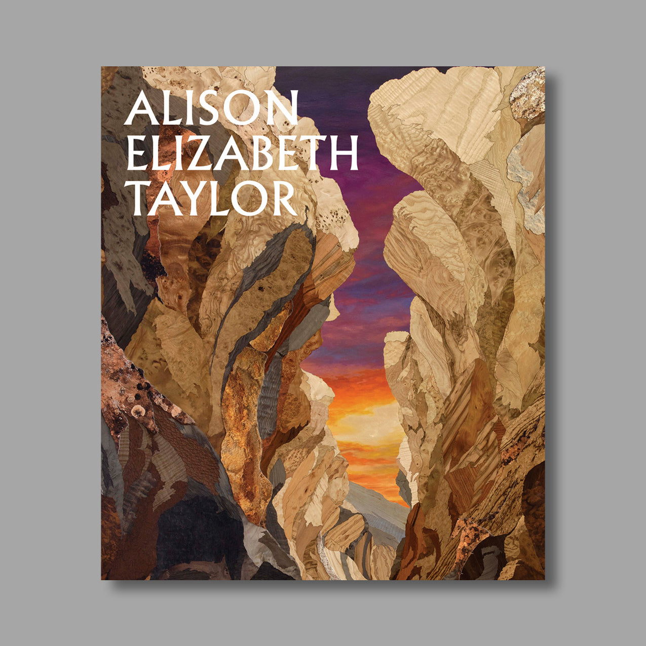 Front cover of Alison Elizabeth Taylor: The Sum of It