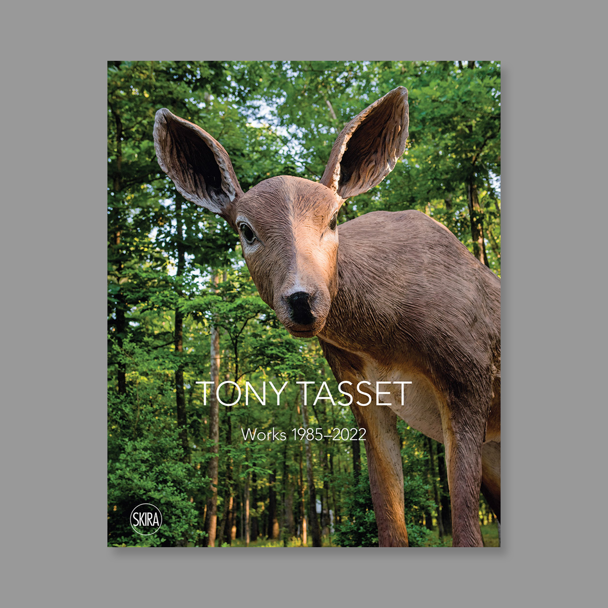 Front cover of Tony Tasset