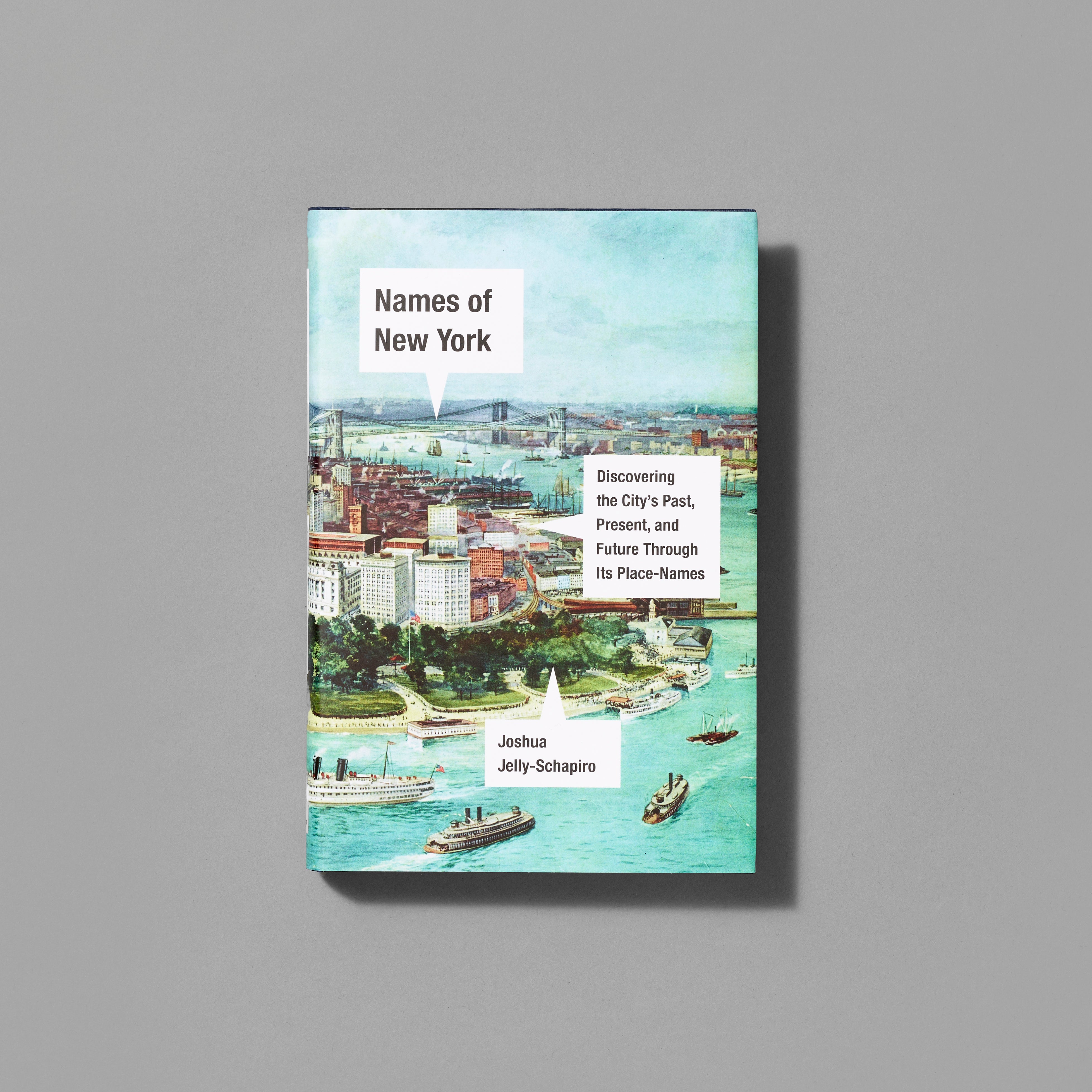 Front cover of Names of New York