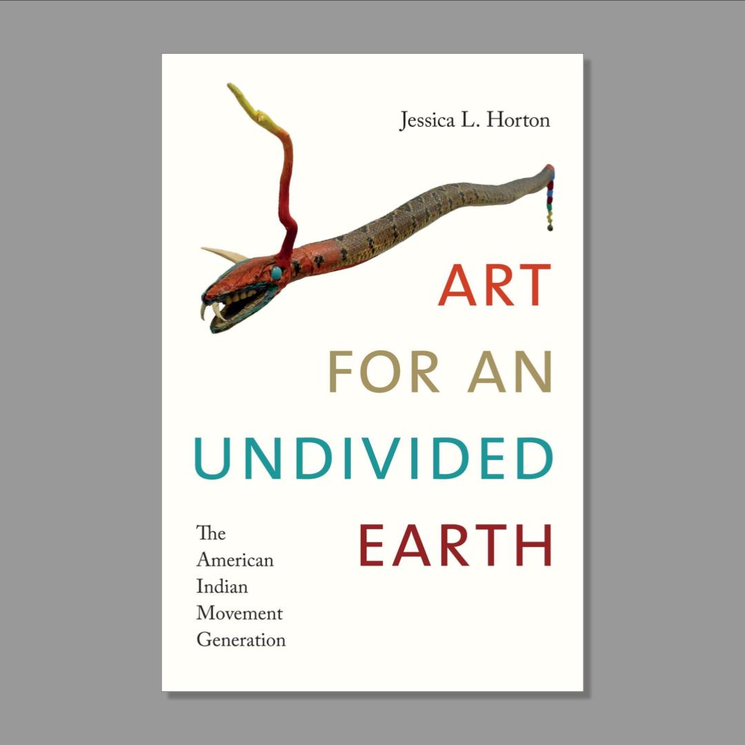 Front cover of Art for an Undivided Earth: The American Indian Movement Generation