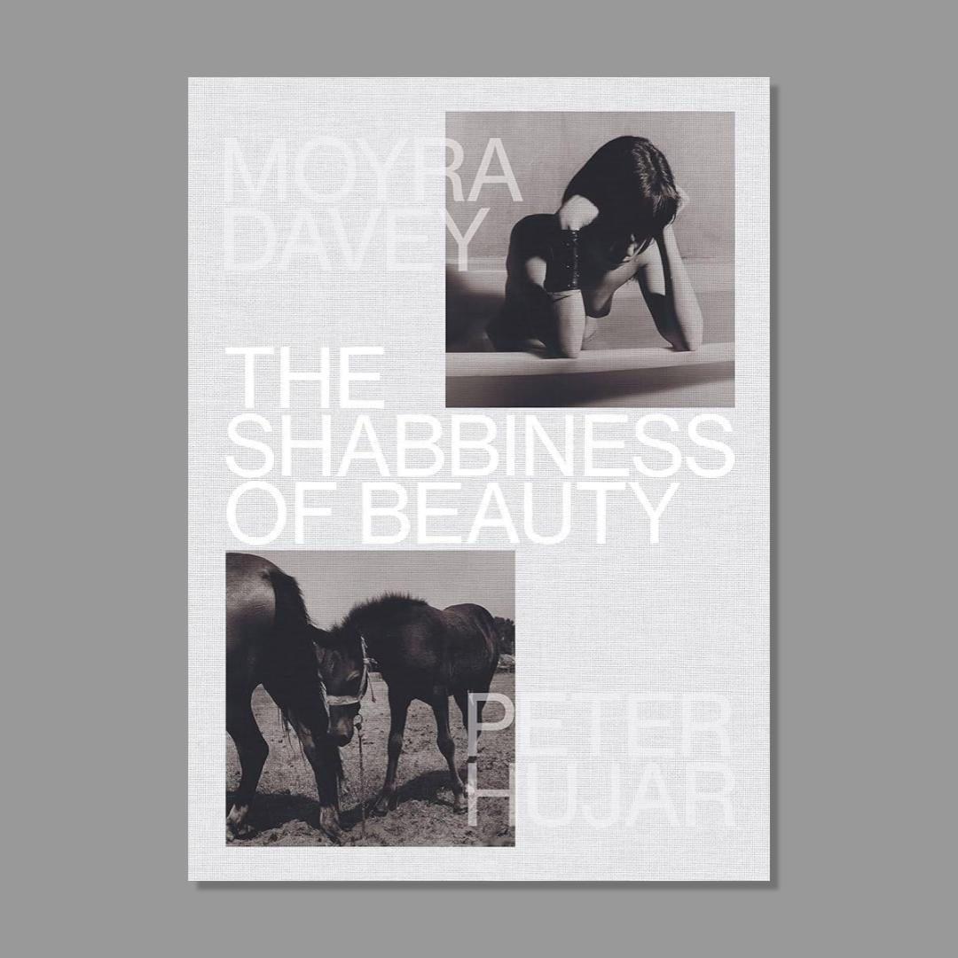 Front cover of The Shabbiness of Beauty