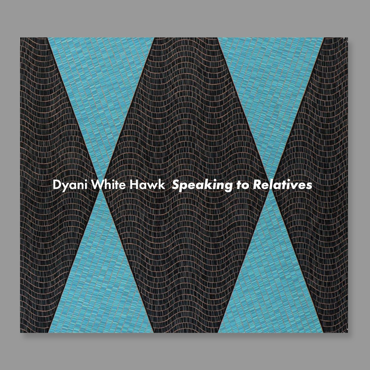 Front cover of Dyani White Hawk: Speaking to Relatives