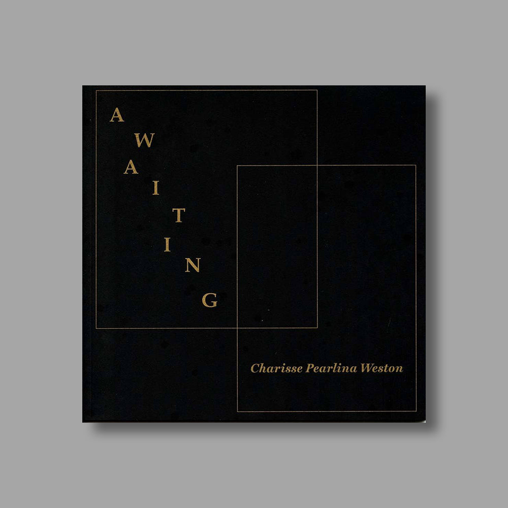 Front cover of Awaiting