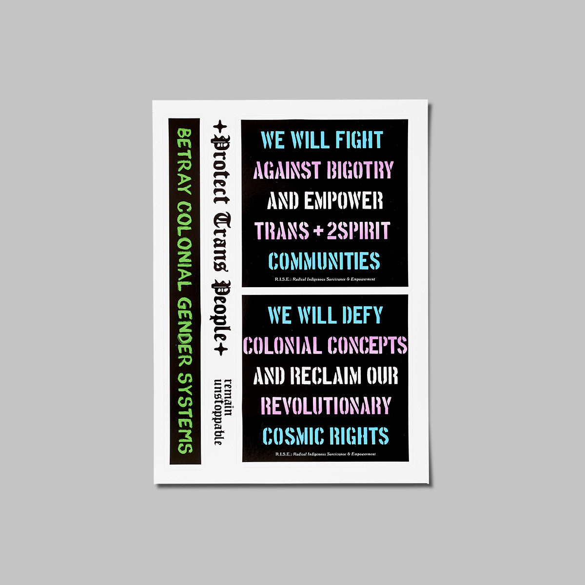 RISE Trans Solidarity Sticker Sheet