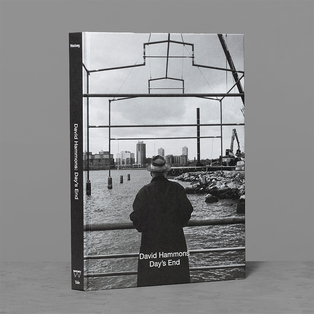 Front cover of David Hammons: Day's End
