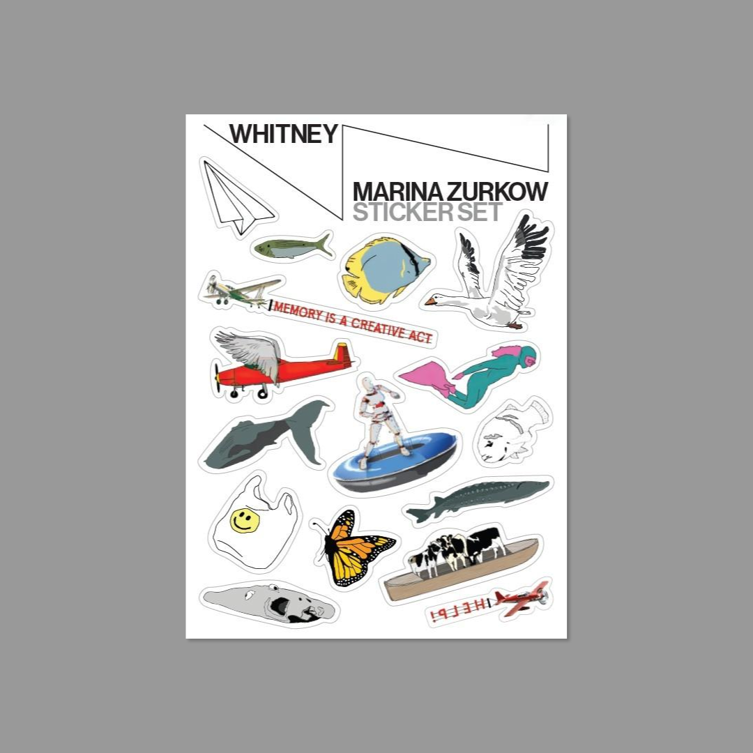 Sticker set packaging with various illustrations on a white background