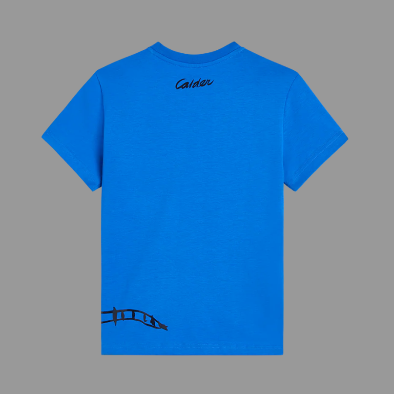 Blue t-shirt with black text and graphics on a gray background