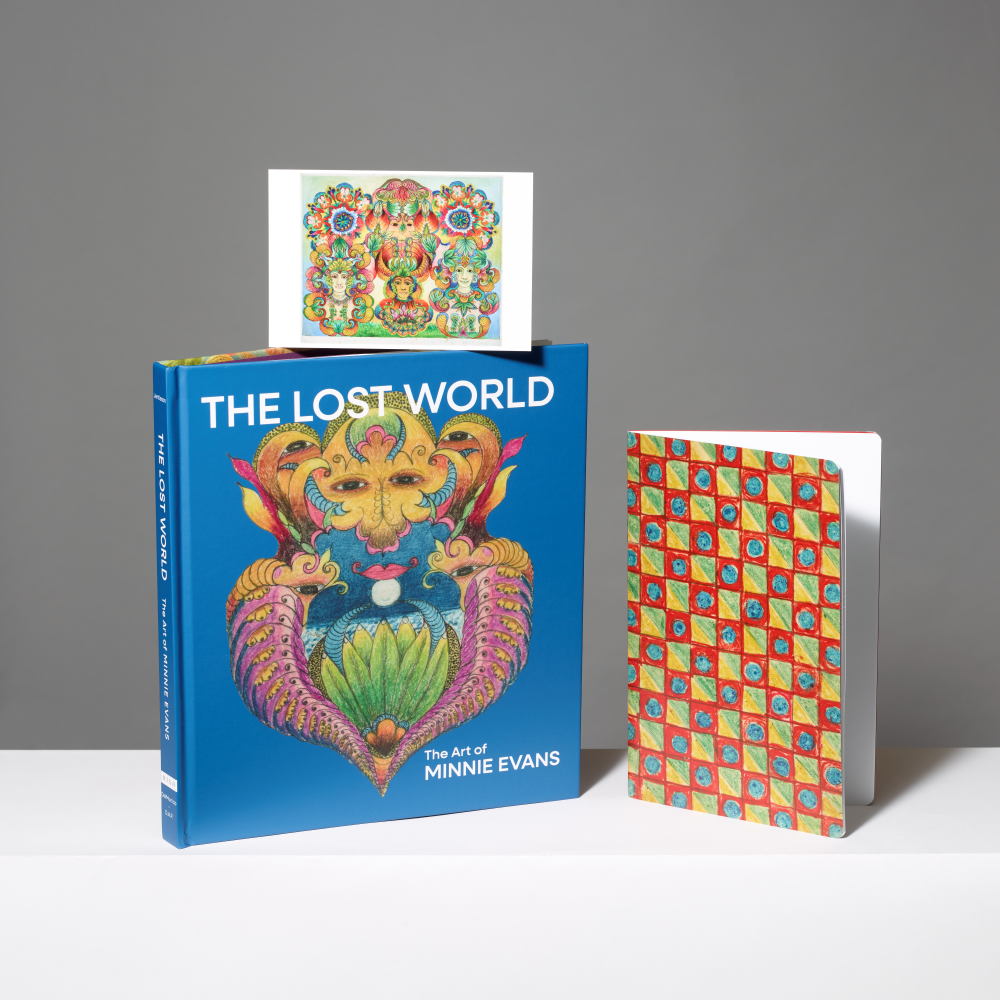 The Lost World: The Art of Minnie Evans exhibition catalogue, featuring a colorful illustrated cover, a post card propped above it, and a small notebook with a red, yellow, and blue patterned cover standing to the right, all on a white surface against a gray background.